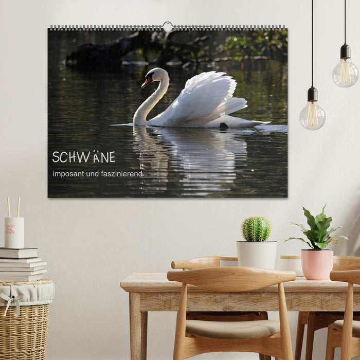Schwäne - imposant und faszinierend (CALVENDO Wandkalender 2026)