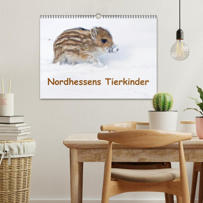 Nordhessens Tierkinder (CALVENDO Wandkalender 2026)