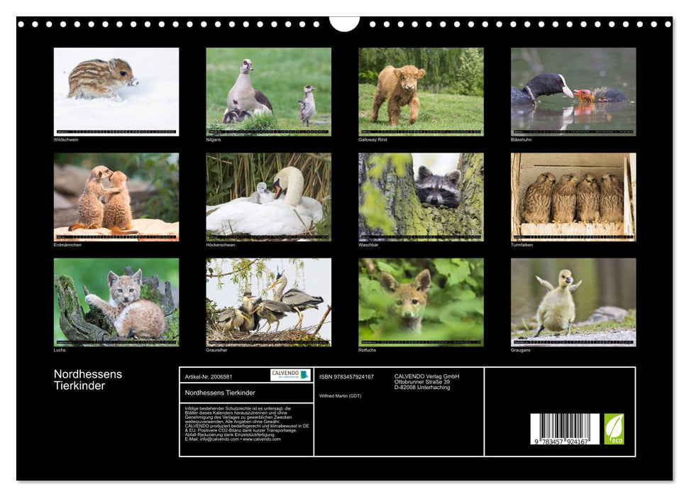 Nordhessens Tierkinder (CALVENDO Wandkalender 2026)