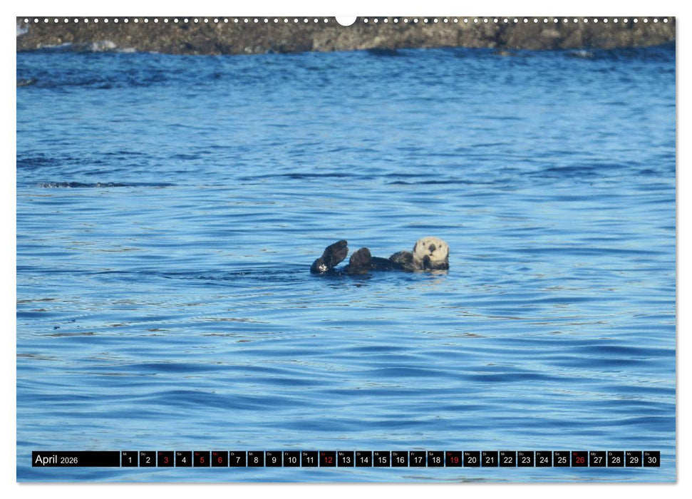 Vancouver - Vancouver Island - Seattle (CALVENDO Wandkalender 2026)