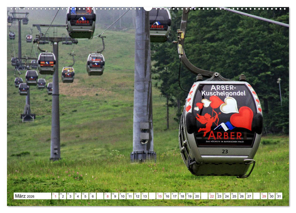 Grosser Arberblick auf Bayerisch Eisenstein (CALVENDO Wandkalender 2026)