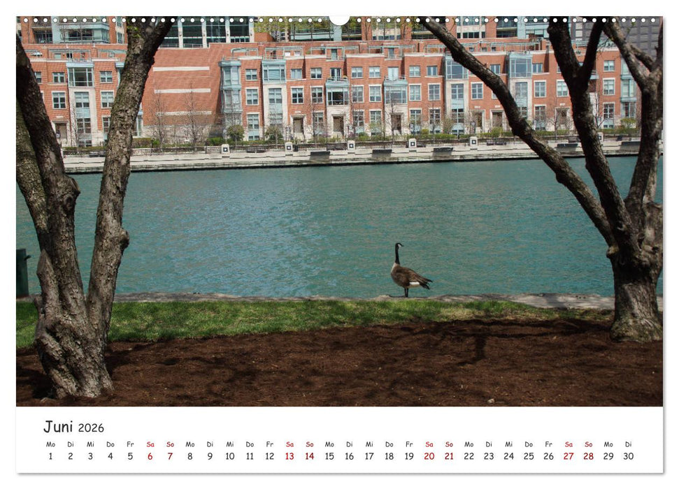 beeindruckendes Chicago (CALVENDO Wandkalender 2026)