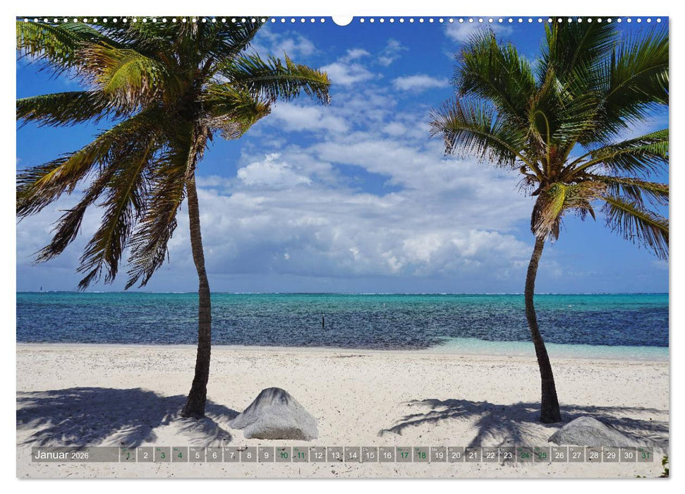 Kuba - Perle der Karibik (CALVENDO Wandkalender 2026)