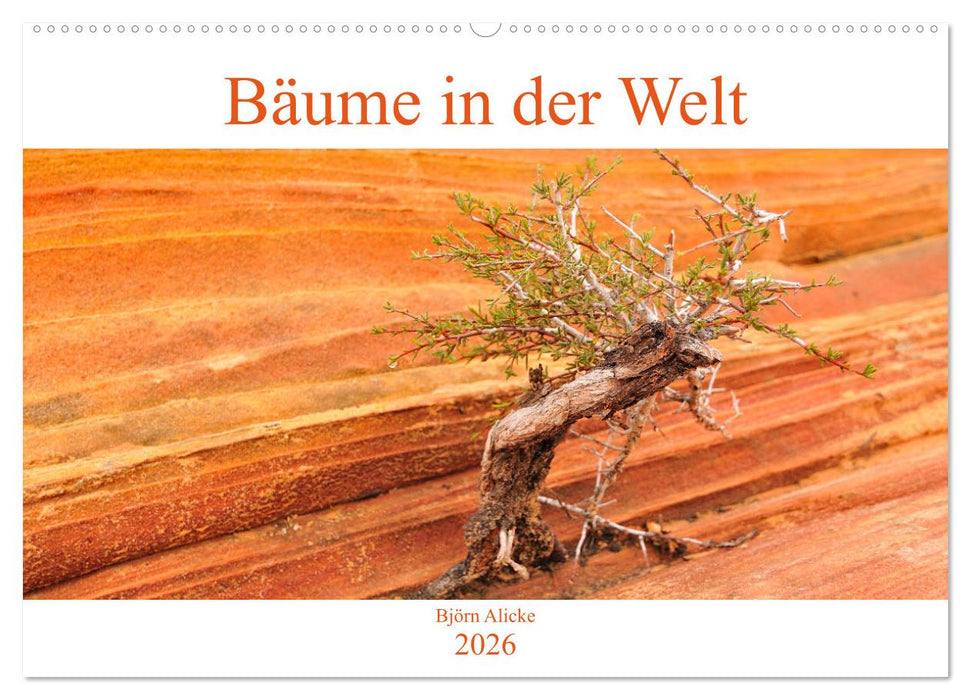 Bäume in der Welt (CALVENDO Wandkalender 2026)