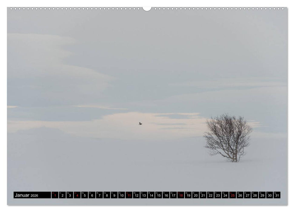 Bäume in der Welt (CALVENDO Wandkalender 2026)