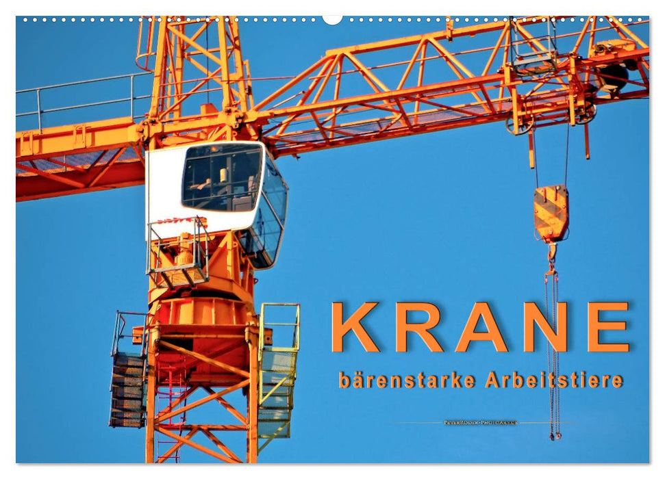 Krane - bärenstarke Arbeitstiere (CALVENDO Wandkalender 2026)