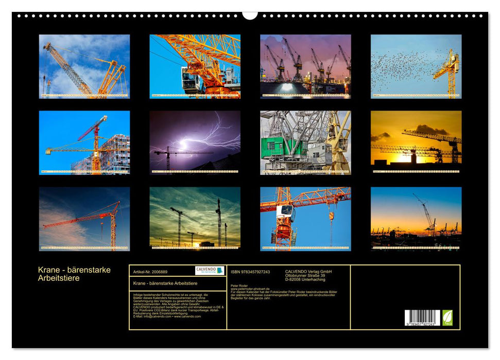 Krane - bärenstarke Arbeitstiere (CALVENDO Wandkalender 2026)