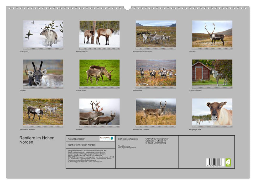 Rentiere im Hohen Norden (CALVENDO Wandkalender 2026)
