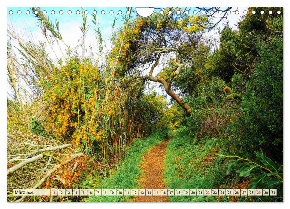 Portugal - Rota Vicentina (CALVENDO Wandkalender 2026)