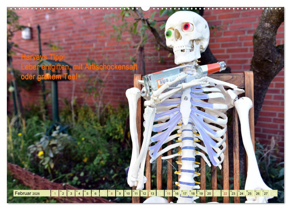 Harvey, der Heilpraktiker (CALVENDO Wandkalender 2026)