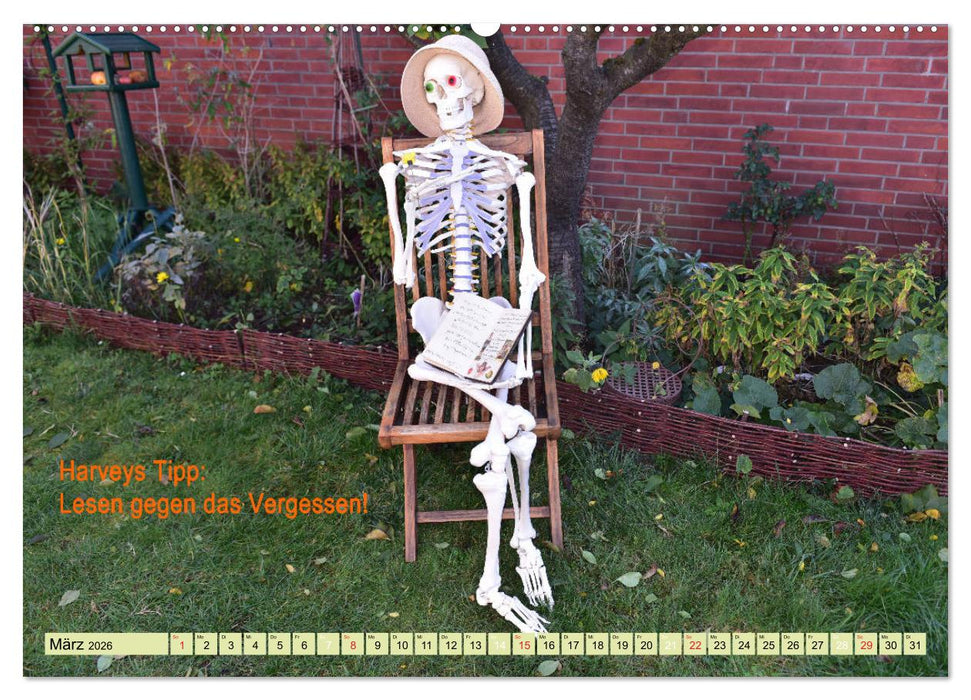 Harvey, der Heilpraktiker (CALVENDO Wandkalender 2026)