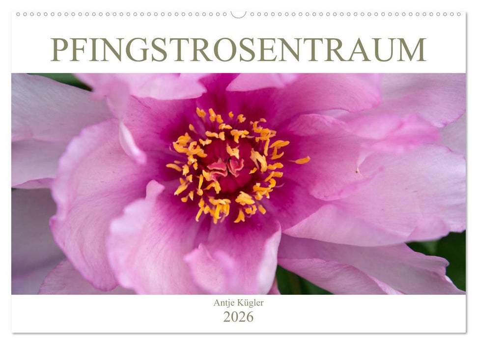 Pfingstrosentraum (CALVENDO Wandkalender 2026)