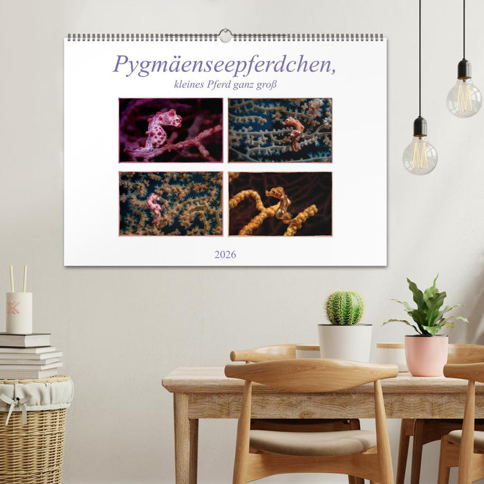 Pygmäenseepferdchen, kleines Pferd ganz groß (CALVENDO Wandkalender 2026)