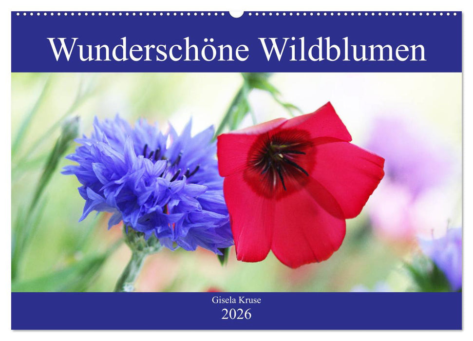 Wunderschöne Wildblumen (CALVENDO Wandkalender 2026)