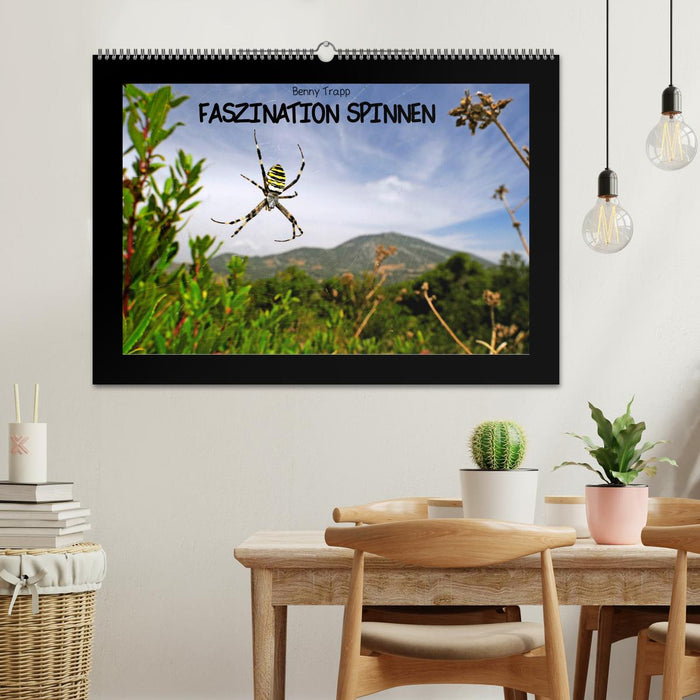 Faszination Spinnen (CALVENDO Wandkalender 2026)