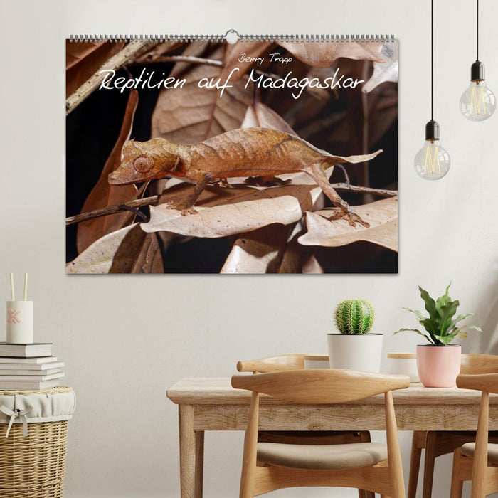 Reptilien auf Madagaskar (CALVENDO Wandkalender 2026)