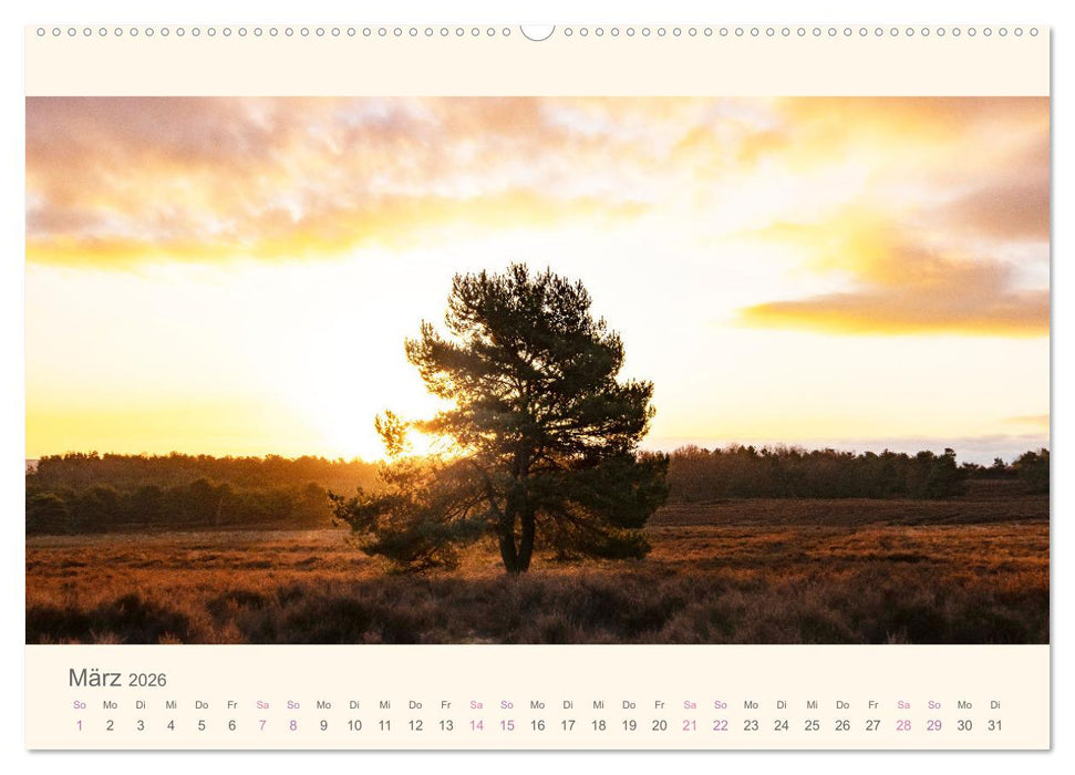 Mehlinger Heide (CALVENDO Wandkalender 2026)