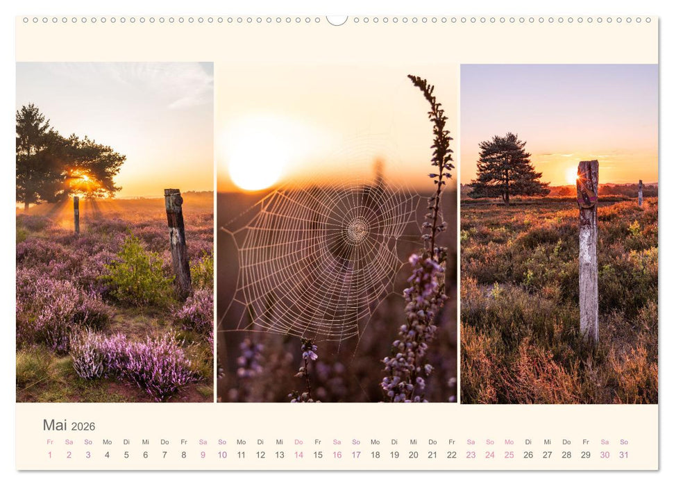 Mehlinger Heide (CALVENDO Wandkalender 2026)