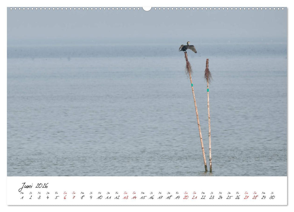 Naturpark Wattenmeer und Helgoland (CALVENDO Wandkalender 2026)