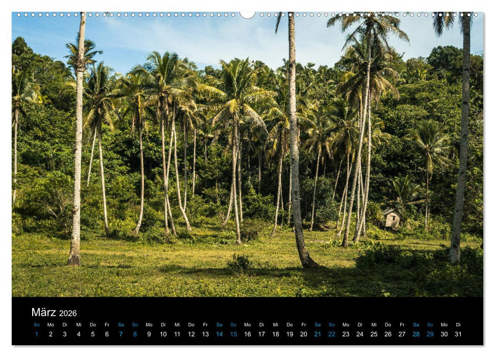 Philippinen Foto Wandkalender 2026 (CALVENDO Wandkalender 2026)