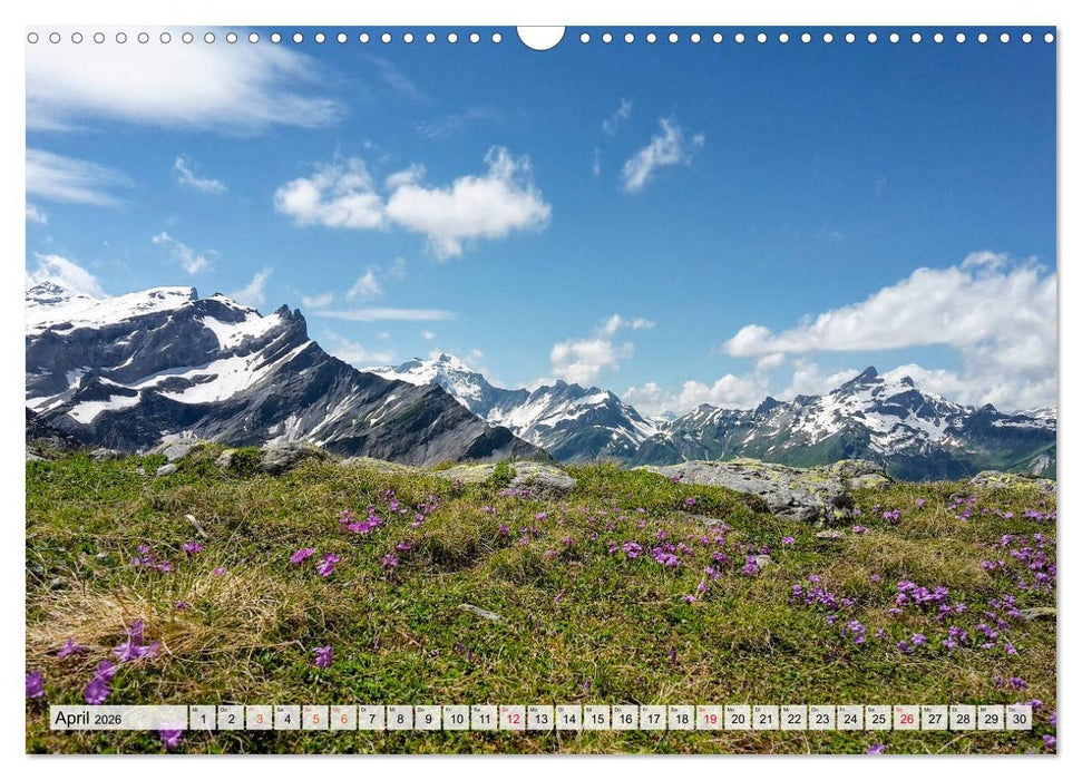 ALPEN BLICK (CALVENDO Wandkalender 2026)