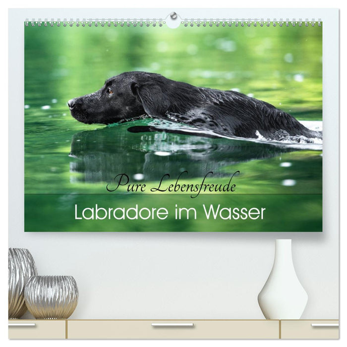 Labradore im Wasser (CALVENDO Premium Wandkalender 2026)