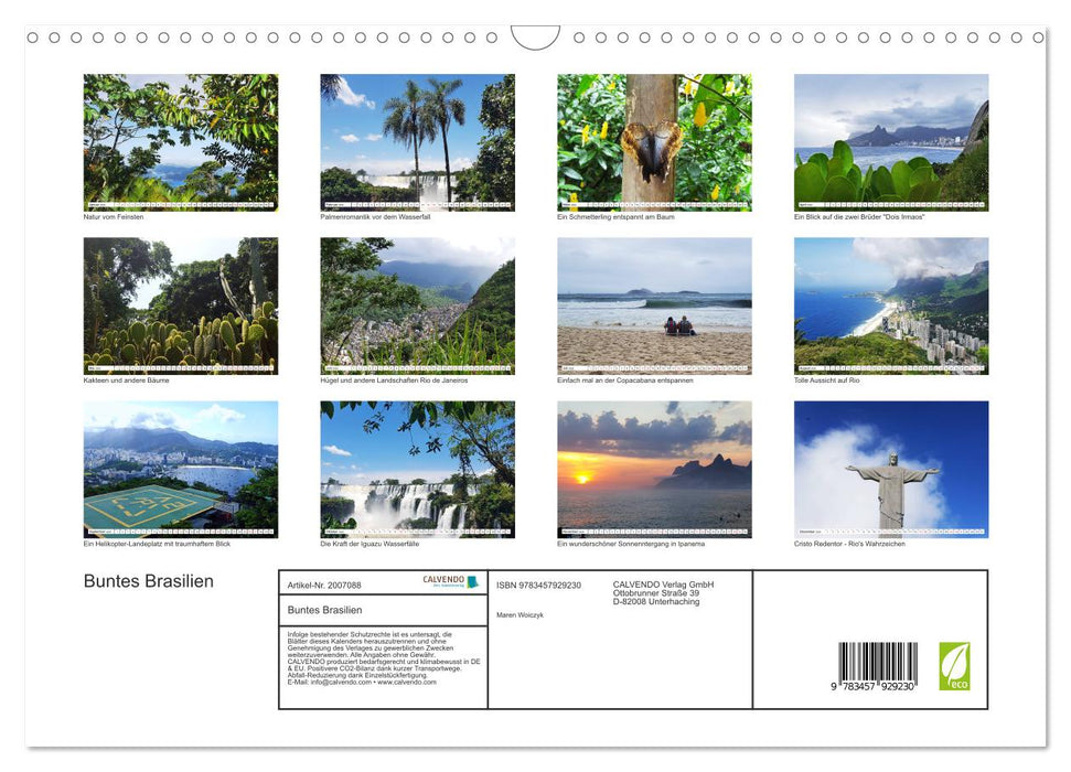 Buntes Brasilien (CALVENDO Wandkalender 2026)