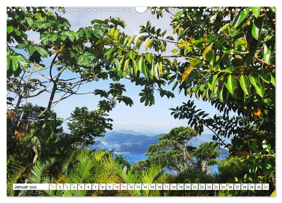 Buntes Brasilien (CALVENDO Wandkalender 2026)