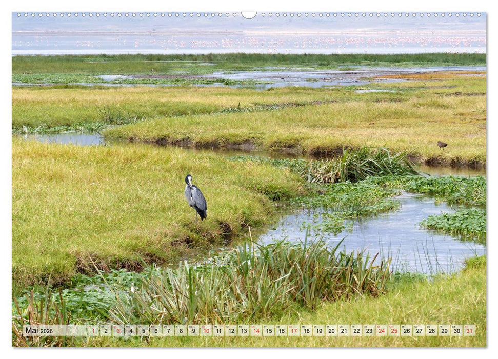 Tansania. Impressionen aus Ostafrika (CALVENDO Wandkalender 2026)