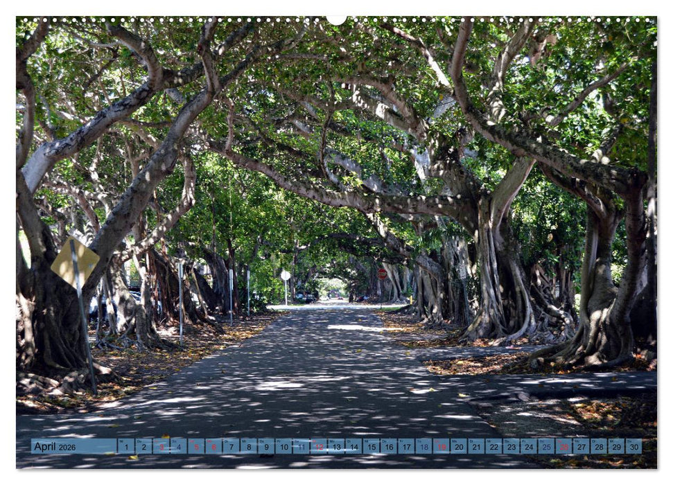 Florida Spots II (CALVENDO Wandkalender 2026)