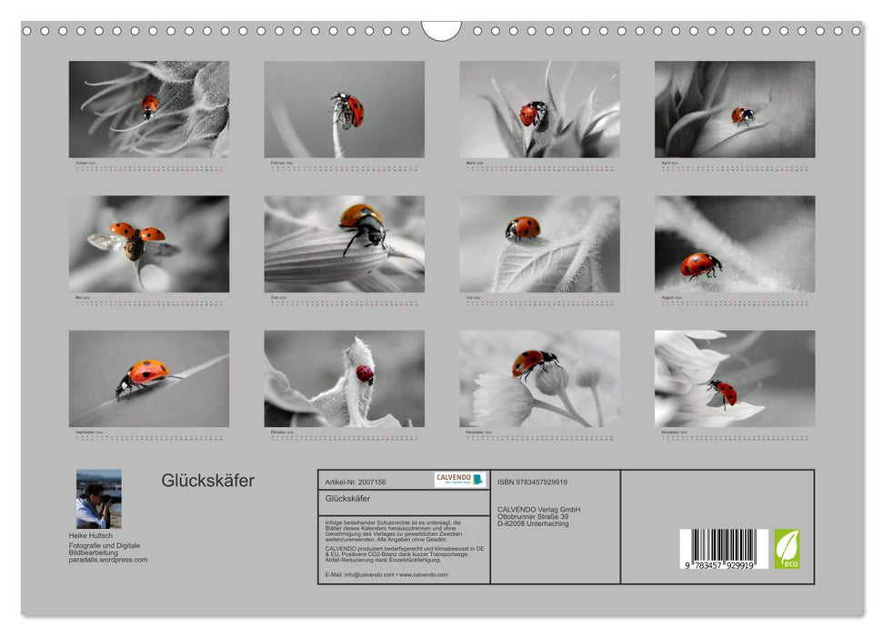 Glückskäfer (CALVENDO Wandkalender 2026)