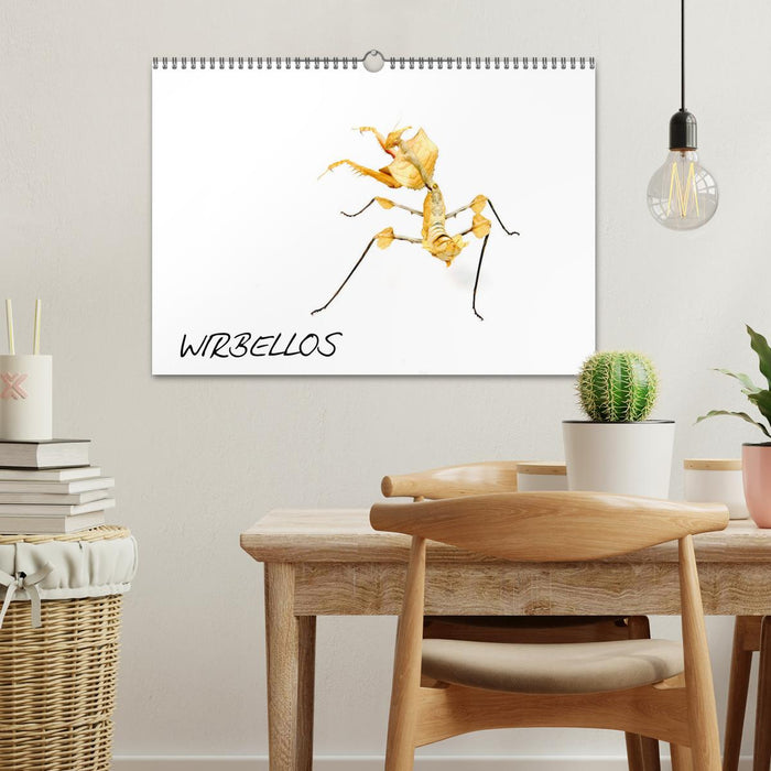 WIRBELLOS (CALVENDO Wandkalender 2026)