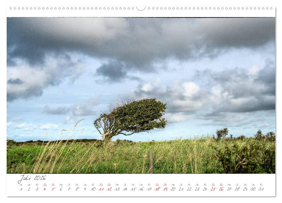 JÜTLAND ERLEBEN (CALVENDO Premium Wandkalender 2026)