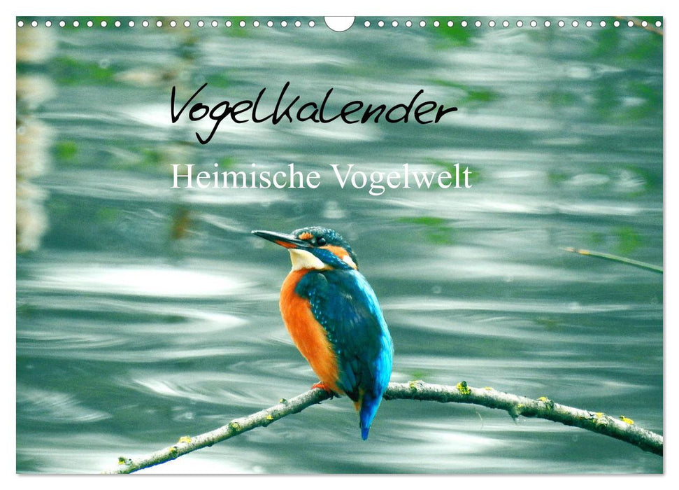 Vogelkalender (CALVENDO Wandkalender 2026)