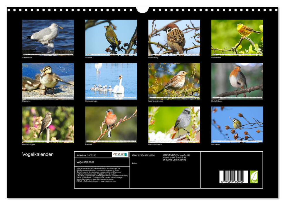 Vogelkalender (CALVENDO Wandkalender 2026)
