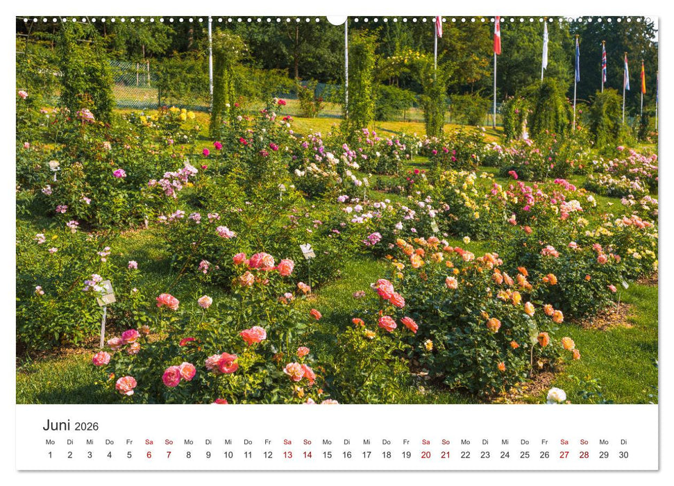 Baden-Baden, Kurstadt am Rande des Schwarzwaldes (CALVENDO Wandkalender 2026)