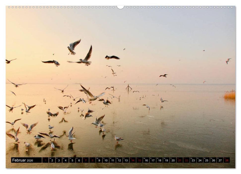 Das Meer bei Steinhude (CALVENDO Wandkalender 2026)