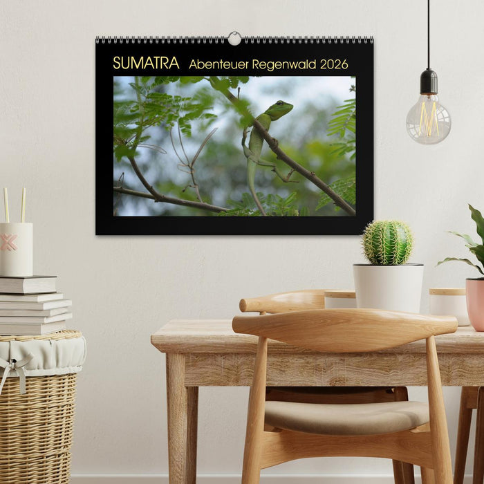SUMATRA Abenteuer Regenwald (CALVENDO Wandkalender 2026)