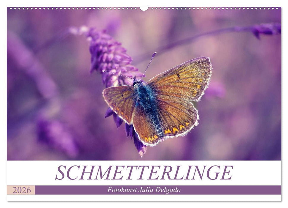 Schmetterlinge im Fokus (CALVENDO Wandkalender 2026)