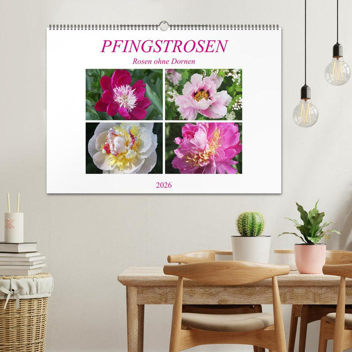 PFINGSTROSEN Rosen ohne Dornen (CALVENDO Wandkalender 2026)