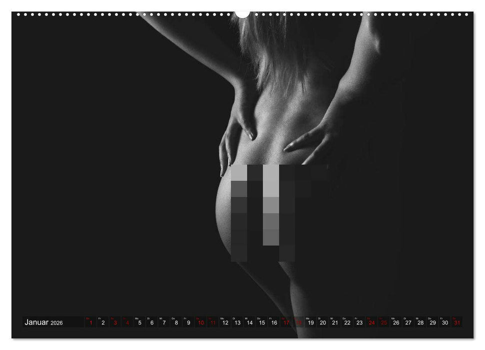 Sensual Secrets (CALVENDO Wandkalender 2026)