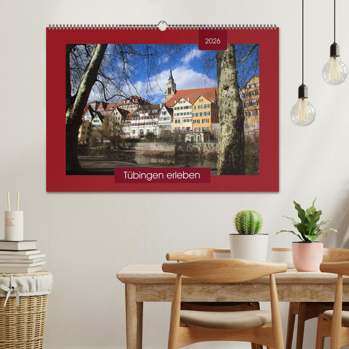 Tübingen erleben (CALVENDO Wandkalender 2026)