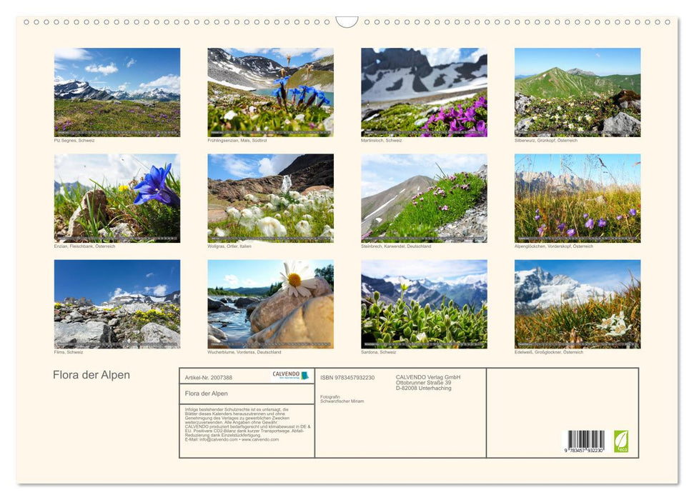 Flora der Alpen (CALVENDO Wandkalender 2026)
