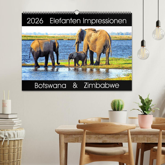 Elefanten Impressionen (CALVENDO Wandkalender 2026)