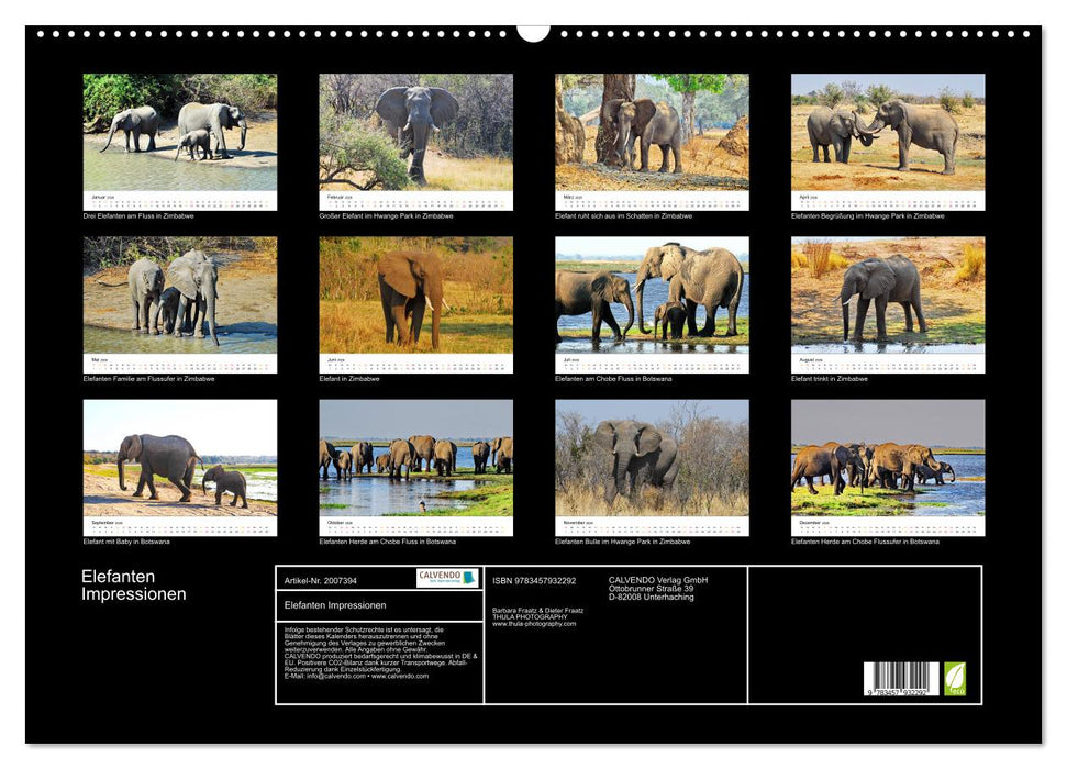 Elefanten Impressionen (CALVENDO Wandkalender 2026)