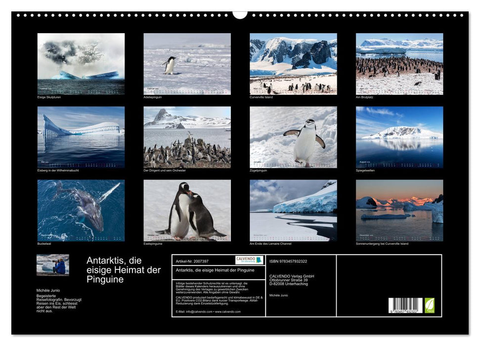 Antarktis, die eisige Heimat der Pinguine (CALVENDO Wandkalender 2026)
