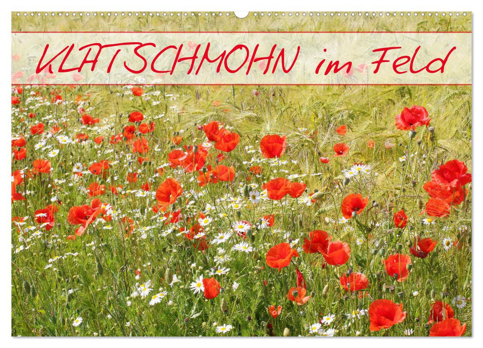 Klatschmohn im Feld (CALVENDO Wandkalender 2026)