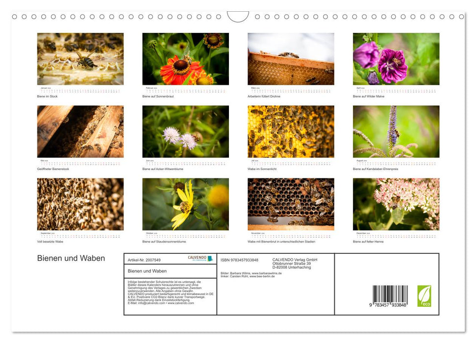 Bienen und Waben (CALVENDO Wandkalender 2026)