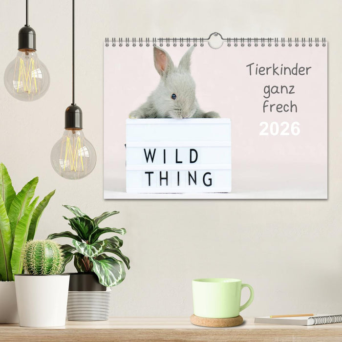 Tierkinder ganz frech (CALVENDO Wandkalender 2026)