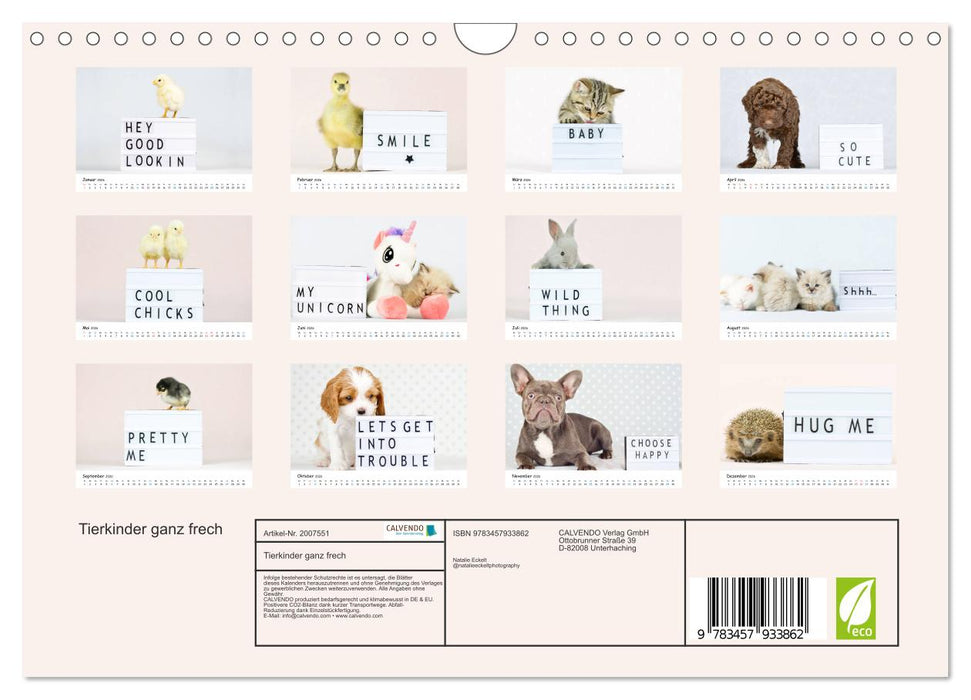 Tierkinder ganz frech (CALVENDO Wandkalender 2026)